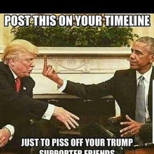 Meet your Posher, Flip